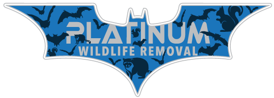 Elevate Animal Removal LLC
