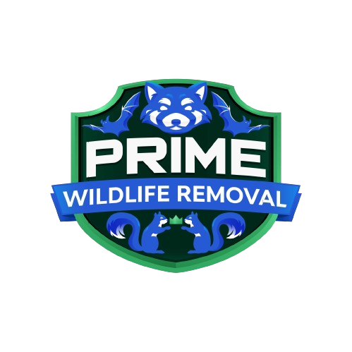 Elevate Animal Removal LLC